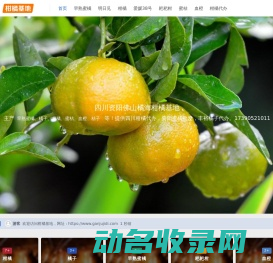 柑橘基地
